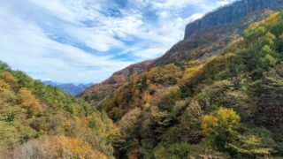 紅葉が始まってます